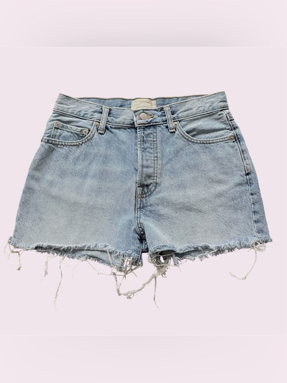 Everlane The Relaxed 90s Denim Shorts